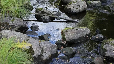 Small waves hit the rocky shore Stock Footage 245359742