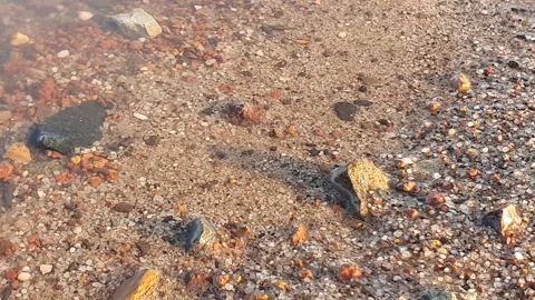 Small waves hit the sand and small rocks Stockbeeldmateriaal 337679093