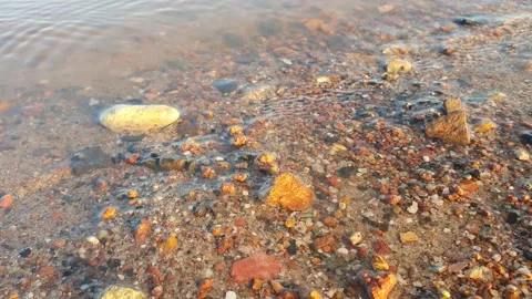 Small waves hit the sand and small rocks Vidéo 337679094