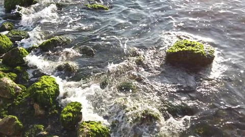 Small waves hitting the mossy rocks by the coast on a summer day. Stock Photos