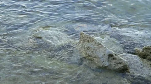 Small waves hitting rock shore Stock Footage 57170390