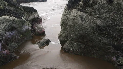 Small Waves Hitting Rock Shore Stock Footage 261563149