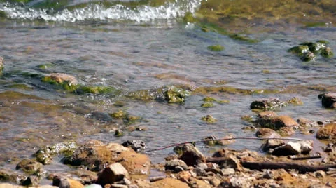 Small Waves hitting the shoreline Stock Footage 25541788