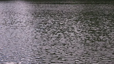 Small waves on the lake Stock Footage 155680674