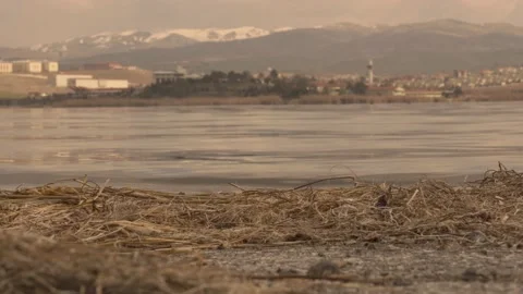 Small waves in the lake Stock Footage 157761083