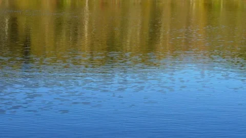 Small waves on a lake forming ripples Stock Footage 262838354