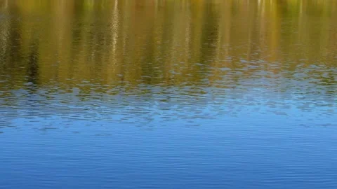 Small waves on a lake forming ripples Stock Footage 281170804