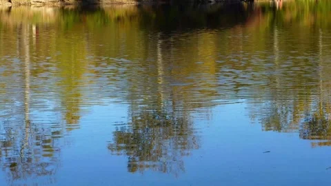 Small waves on a lake forming ripples Stock Footage 281170849