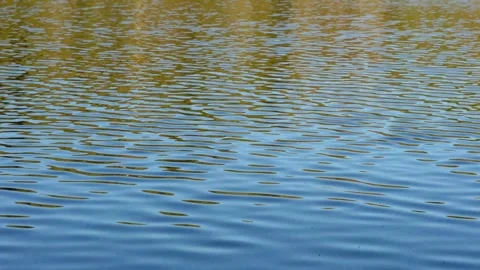 Small waves on a lake forming ripples Stock Footage 281171050
