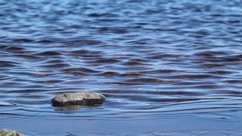 Small waves on the lake Saimaa shore, Lappeenranta Finland Stock Footage 108649537