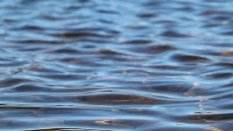 Small waves on the lake Saimaa shore, Lappeenranta Finland Stock-Footage 108649571