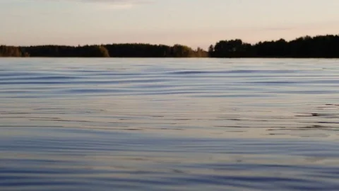 Small waves at lake on warm summer evening Stock Footage 83882631