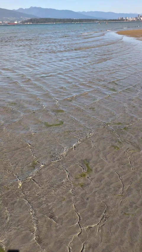 Small waves lap against the sandy shore of a beach in Burrard Inlet; Vancouver Stock-Footage 344373104
