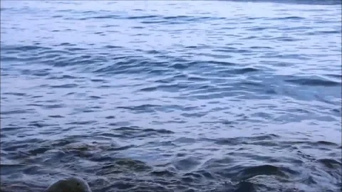 Small waves lapping against rocks Stock Footage 77862869