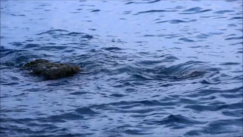 Small waves lapping against rocks Stock Footage 77862872