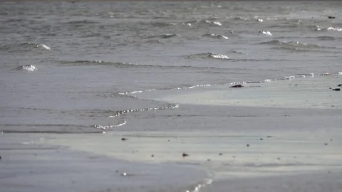 Small Waves Lapping onto Beach Close Up 4K 動画素材 81160780