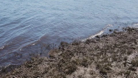 Small waves lapping on a muddy lake shore Stock Footage 289291369