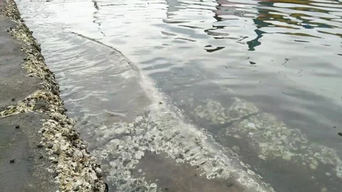 Small waves lapping on the new walled beach Stock Footage 220664762