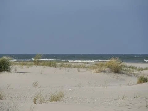 Small waves for more calm objectivity and a scattered bundle of grass on the Stock Photos
