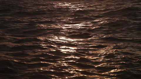 Small waves on the ocean at sunset, close-up of the water Stock Footage 276610642