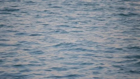 Small waves, over blue sea or ocean surface, loopable. Background Stock Footage 79759171