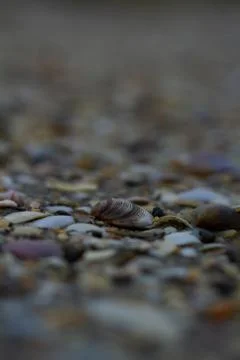 Small Waves Stock Photos