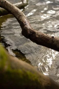 Small Waves 스톡 사진