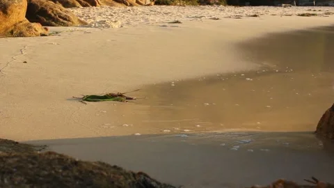Small waves reaching a beach at sunset Stock Footage 320808182