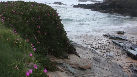 Small waves reaching a tiny beach in the Cantabrian coast Stock Footage 273119305