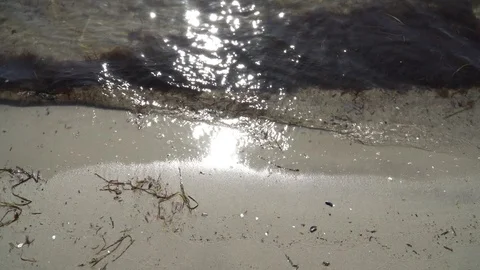 Small waves reflecting the sunlight on the beach Stock Footage 117674332