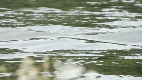Small waves on the river Stock Footage 108066955
