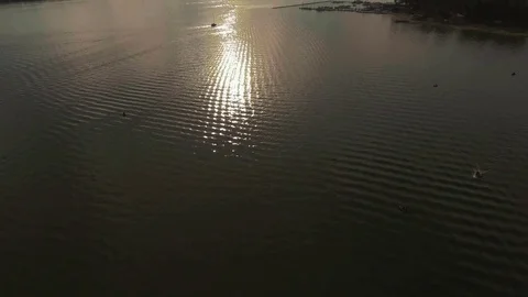 Small waves: the river at sunset, the sun is reflected in the water Stock Footage 80732816