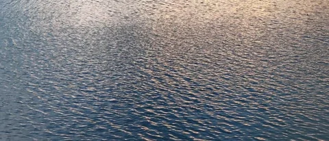 Small waves on river surface in windy weather on sunset. Ripples water texture. Stock Footage 327902986