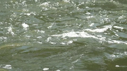 Small waves of river water Stock Footage 280685773