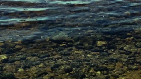 Small waves on a rocky bottom Stock-Footage 76658558