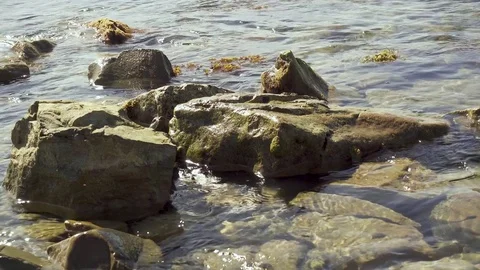 Small waves roll on rocks on the shore Video stock 80486473