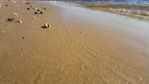 Small waves roll onto sandy shore with shells. Stock Footage 286430821