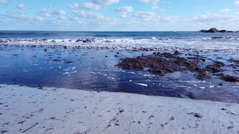 Small waves roll onto the shore with bundles of algae Stock Footage 148543452