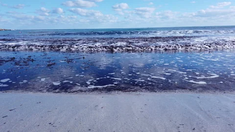 Small waves roll onto the shore with bundles of algae Stock Footage 148543700