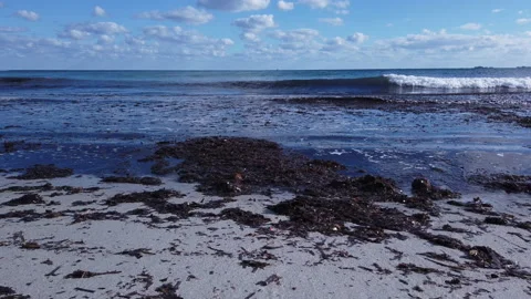Small waves roll onto the shore with bundles of algae 库存影片 148543886