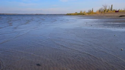 Small waves run ashore on a warm sunny day, reeds and trees in the background Stock Footage 118505703