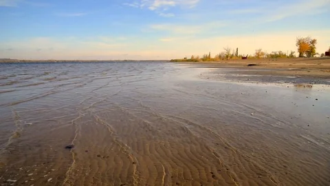 Small waves run ashore on a warm sunny day, reeds and trees in the background Stock Footage 118505707