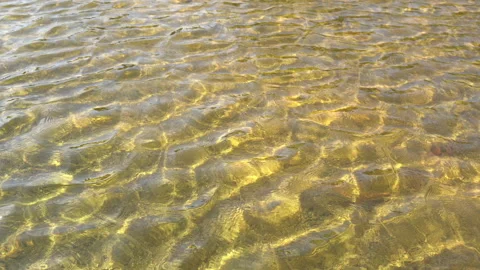 Small waves running continuously on sandy shallow Stock Footage 160493974