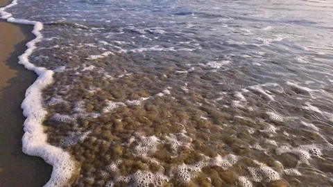 Small waves in the sand Stock Footage 100491721