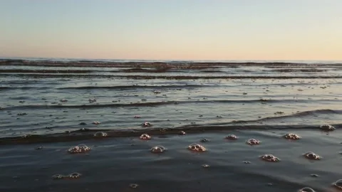 Small waves at sea, relaxation Stock Footage 144129752