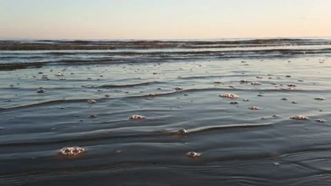 Small waves at sea, relaxation Stock Footage 144129767