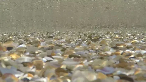 Small waves in shallow water Stock Footage 101514512