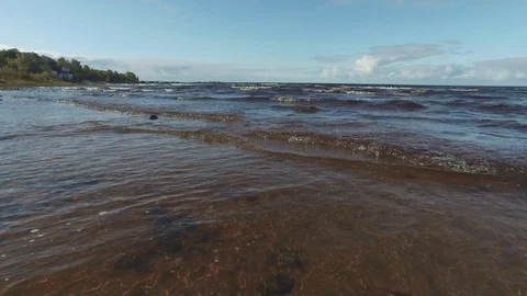 Small waves on the shoreline Video stock 89881220