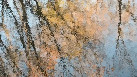 Small waves on a small pond reflect a fall scene of plants, trees, and blue sky Stock Footage 141451105