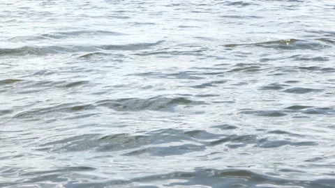 Small waves in a spring Sunny day on the river not far from the city Stock Footage 130219021